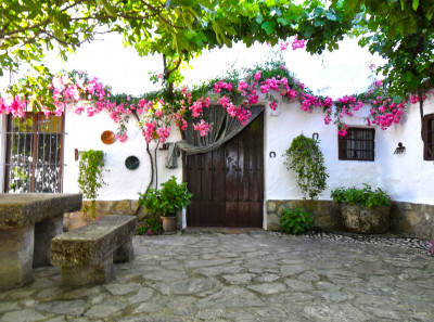 Patio Andaluz