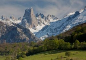 Picos de Europa