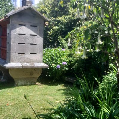 socorro-perez-spaanselesonline (6)